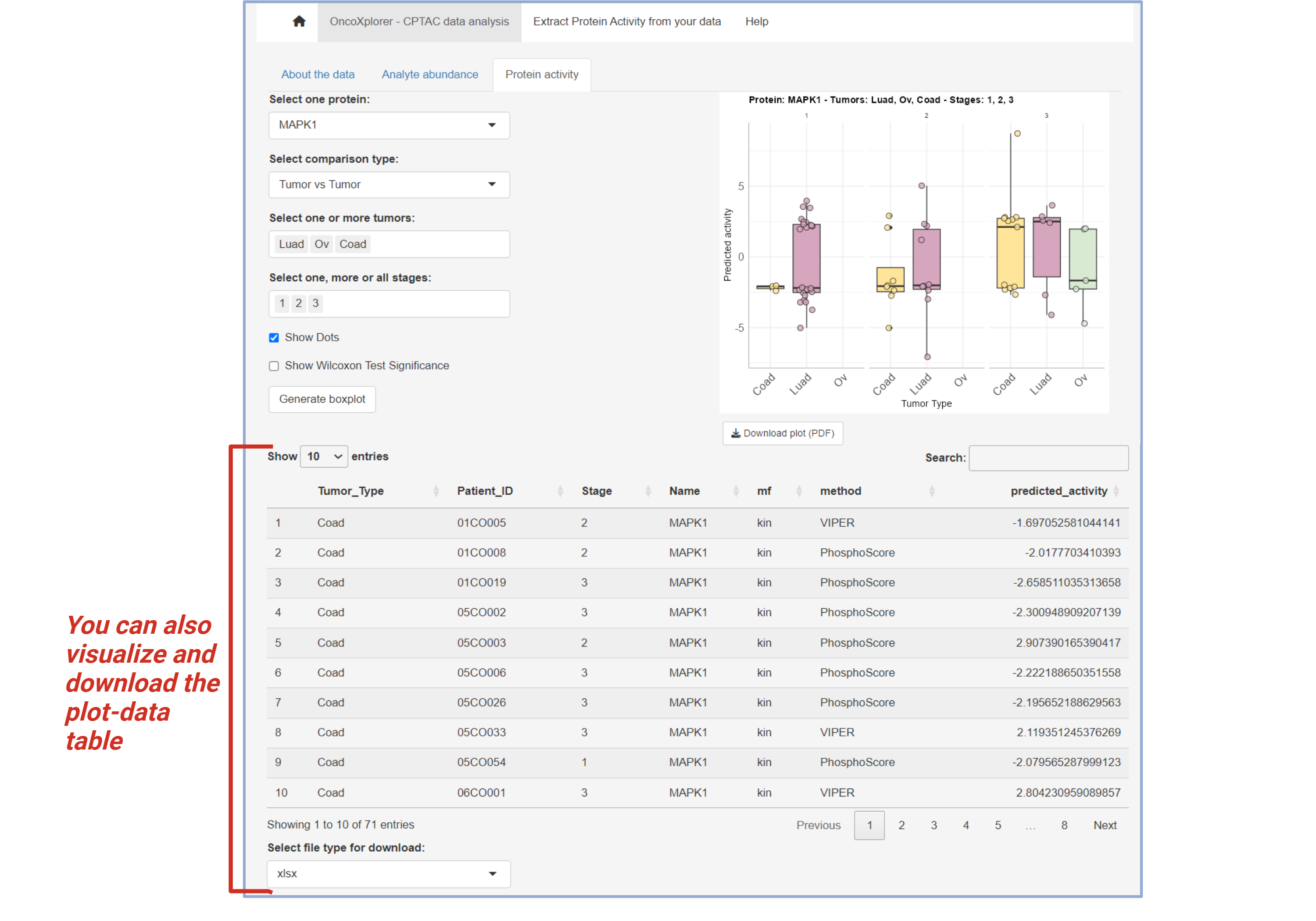 Protein Activity Analysis