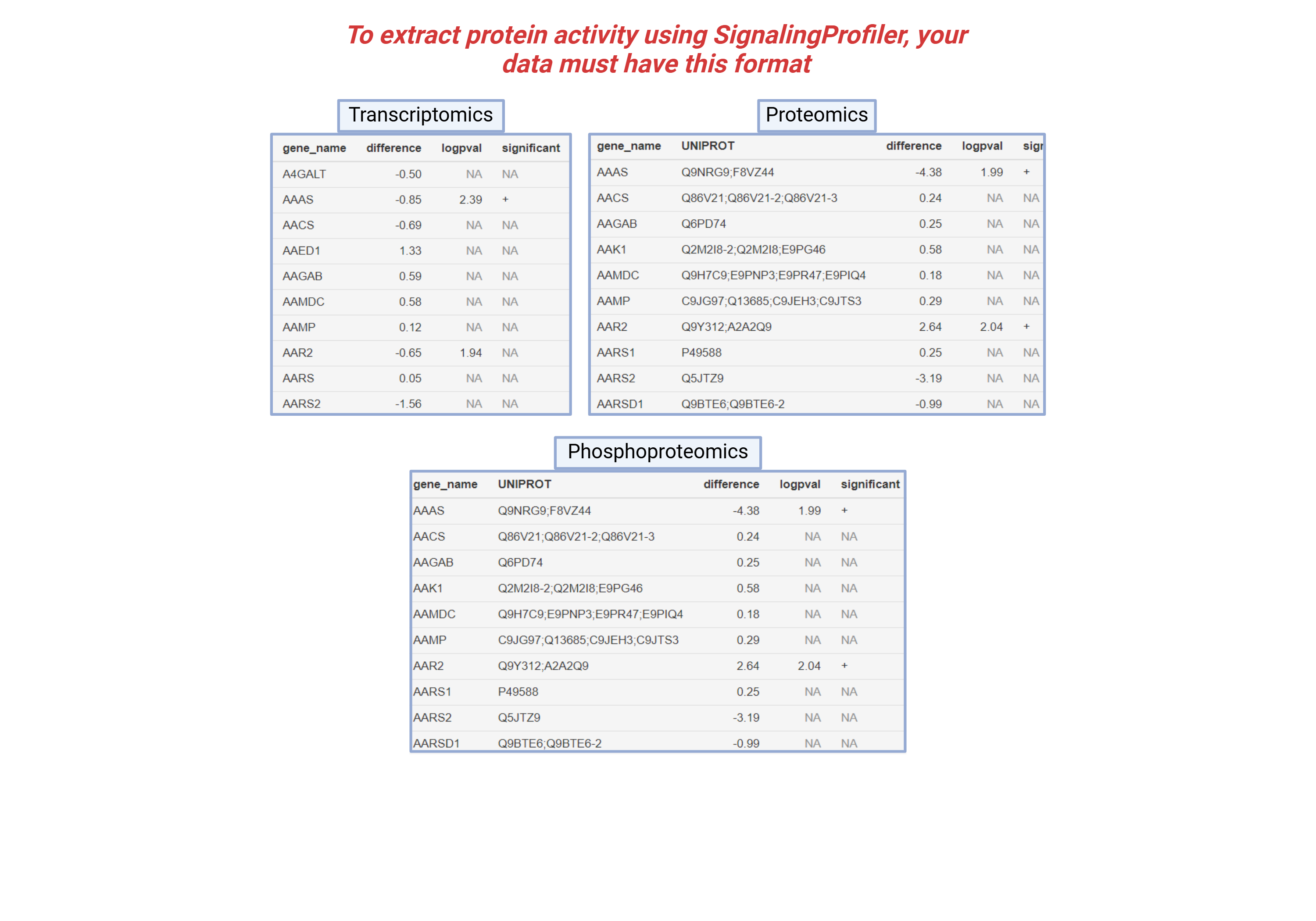 Protein Activity Analysis