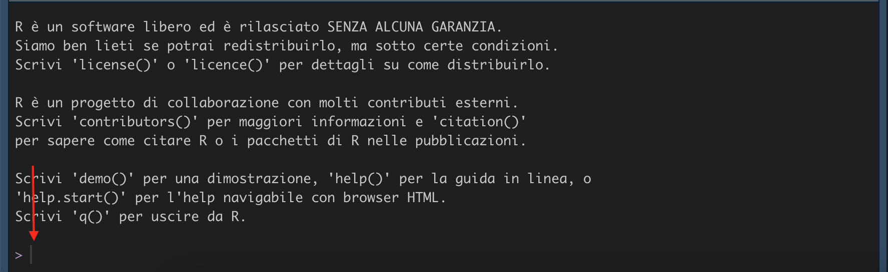 Console of R in RStudio